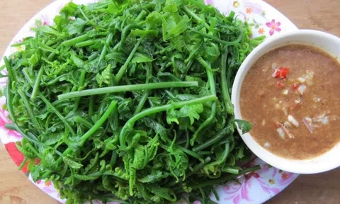 Loại rau mọc đầy rừng Việt Nam, tốt ngang nhân sâm, giá tương đương thịt bò loại ngon, người Trung Quốc săn lùng từng bó