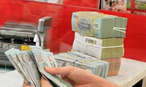 Đồng USD quốc tế lao dốc, vì sao tỷ giá ở Việt Nam vẫn leo thang?