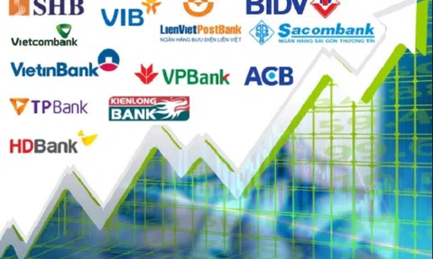 MBS dự báo lợi nhuận ngân hàng quý II khởi sắc: VPBank, HDBank, EIB tăng tốc