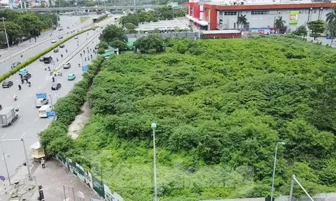 Dự án tháp tài chính gần 4.000 tỷ đồng ở Hà Nội 'hoá rừng' sau 20 năm ôm đất lãng phí