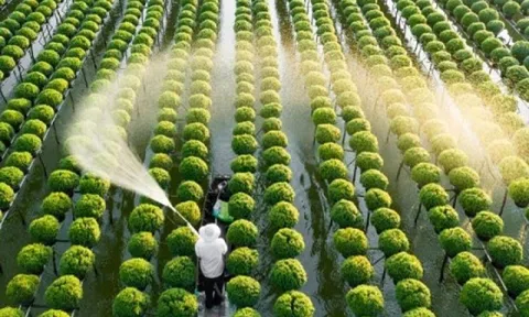3 ngành học triển vọng tại Việt Nam: Ra trường dễ có việc, thu nhập đáng mơ ước
