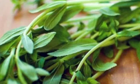 Loại rau mọc hoang có hương vị 'bùng nổ', người Việt ai cũng mê: Bán đầy chợ giá rẻ bất ngờ lại kháng viêm, thanh nhiệt, trị sỏi thận