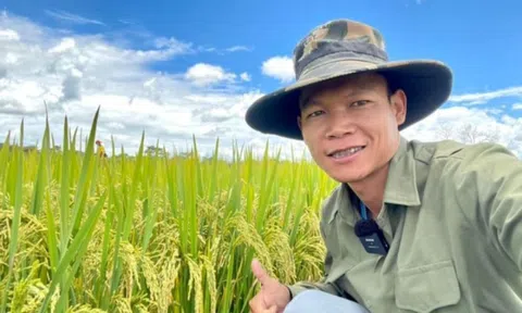 Giám đốc Sở Nông nghiệp Huambo - Angola đích thân đến khảo sát mô hình trồng lúa nước của team châu Phi