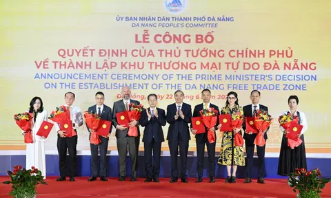 Terne Holdings, The One Destination, Sun Group, BRG, IPPG, Phương Trang… đổ bộ vào Khu thương mại tự do Đà Nẵng