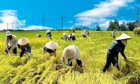 Đưa nông sản Việt vượt bão thuế, hướng tới kim ngạch 65 tỷ USD