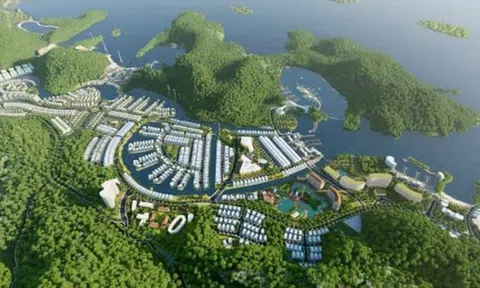 Vinaconex muốn chuyển nhượng 51% vốn chủ đầu tư dự án Cát Bà Amatina