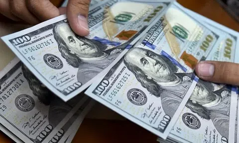 Tỷ giá hôm nay 1/7: USD và Nhân dân tệ đồng loạt tăng tại ngân hàng