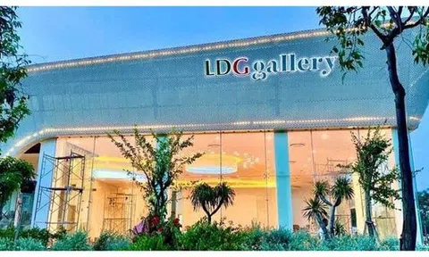 LDG nói gì về việc cổ phiếu tăng trần 5 phiên liên tiếp?