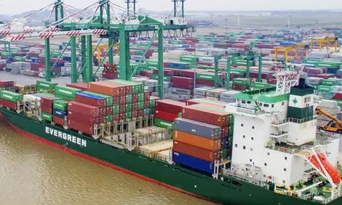 Viconship muốn thâu tóm 65% vốn một doanh nghiệp để thực hiện dự án tại Hải Phòng
