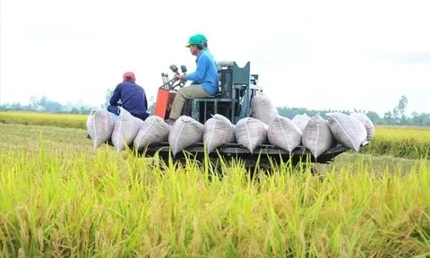 Việt Nam thu về 33,8 tỷ USD từ xuất khẩu nông sản, giao thương với Mỹ tăng mạnh