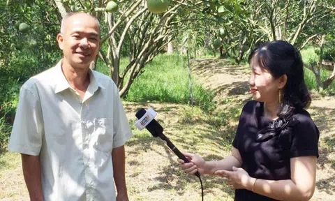 Nông dân Vĩnh Long nhổ lúa, trồng cây ra trái quanh năm, Trung Quốc rất chuộng: Thu nhập 1,2 tỷ đồng/năm