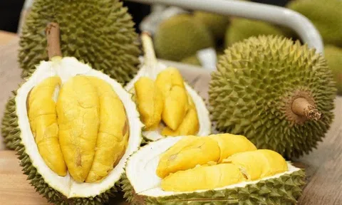 Xuất khẩu sầu riêng lao dốc, nhập từ Thái Lan và Malaysia tăng đột biến