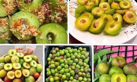 'Mận róc hạt Sa Pa' đang bán tràn lan khắp chợ với giá 25.000 đồng/kg có nguồn gốc từ đâu?'