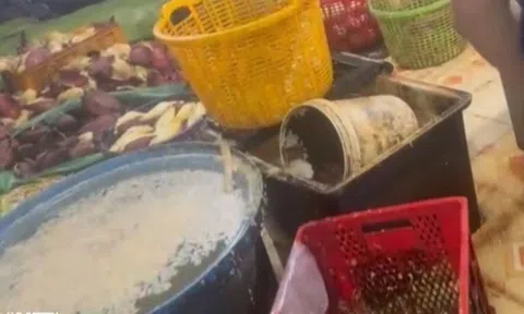 Phanh phui 3 cơ sở ngâm hoa chuối bằng hàn the, chất tẩy trắng: Mỗi ngày tuồn ra thị trường hàng trăm kg