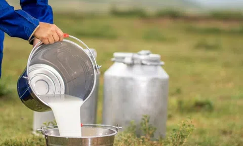 Trở thành 'triệu phú' nhờ sữa pha urê: Bí mật kinh hãi bị phanh phui sau 7 năm