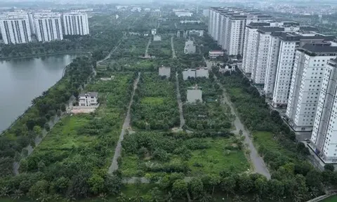 Vi phạm quy hoạch, xây dựng hàng nghìn căn hộ KĐT Thanh Hà chưa được cấp sổ