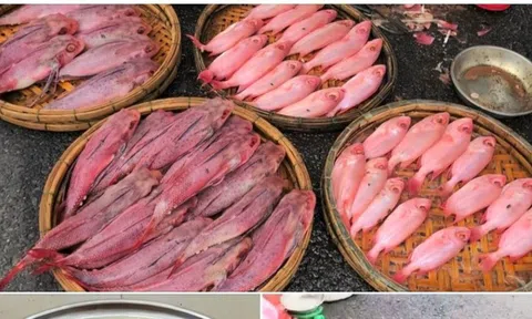 Cá 'nhuộm phẩm' ở Đà Nẵng, người bán giải thích là do được rửa bằng nước ngọt Sting