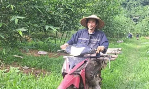 Nông dân Phú Thọ ‘phá vỡ lối mòn’ bỏ cam sang trồng cây được ví ‘lộc biếc’: Bán 45.000 đồng/kg, nuôi giấc mộng xuất khẩu sang Nhật