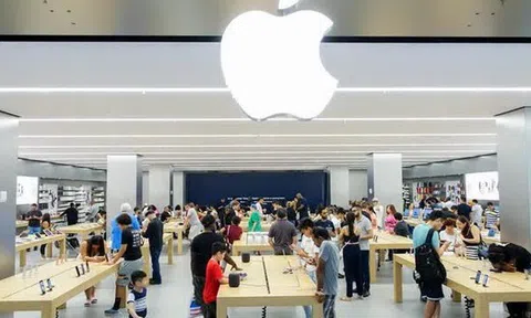 Apple ồ ạt tuyển dụng tại Việt Nam: Hút người từ Nam ra Bắc, trải rộng tới 62 đầu việc