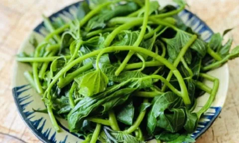 Loại rau mọc lan đầy ở quê, xưa không ai ngó nay được ví như 'nhân sâm xanh', lên cả bàn ăn hiện đại: Quý mà rẻ, chỉ vài nghìn đồng/mớ