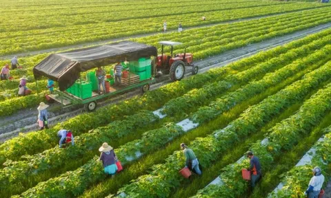 Ngành học điểm chuẩn chỉ từ 16 điểm, ra trường không lo thất nghiệp: Doanh nghiệp săn đón, lương lên tới 25 triệu/tháng