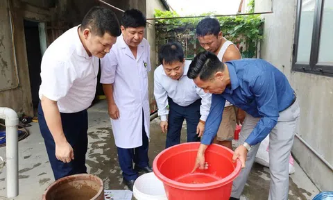 Phát hiện 8 ca sốt xuất huyết, Hà Tĩnh ra cảnh báo "nóng"