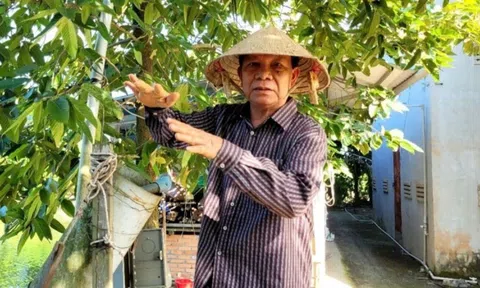 Tỷ phú cá hô miền Tây: Lão nông biến ao nhà thành trang trại bạc tỷ
