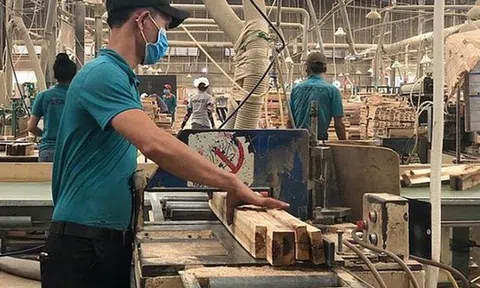 Sự thật vụ một doanh nghiệp gỗ đặt mục tiêu doanh thu gần 1 triệu tỉ đồng