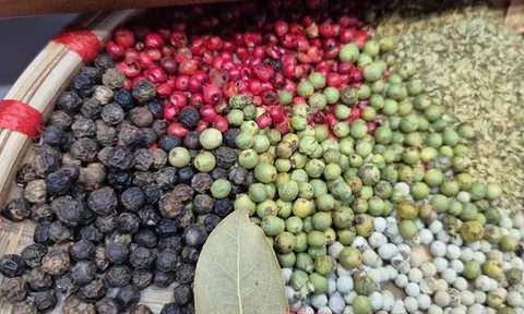 Giá tiêu Đắk Lắk bất ngờ nóng trở lại