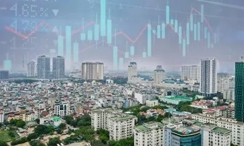 Cổ phiếu bất động sản tiếp tục nổi sóng, CEO, DIG, Novaland là tâm điểm, một DN đã tăng trần liên tiếp 11 phiên