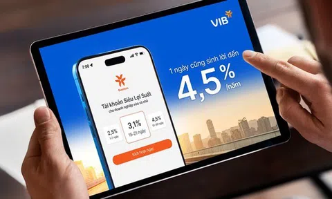 SME tự động hóa quản trị dòng tiền: Mở tài khoản online, sử dụng tính năng sinh lời đến 4,5%/năm từ VIB