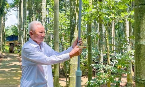 Nông dân Đắk Lắk trồng loại cây cao vút tưởng chỉ làm hàng rào, từ 4ha mà kiếm tiền tỷ: Hàng xóm xung quanh phục lăn