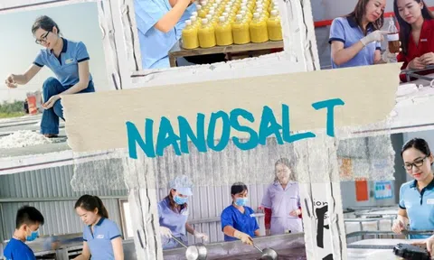 Tốt nghiệp Ngoại thương, cô gái 9X quyết tâm về quê khởi nghiệp 'hồi sinh' tinh hoa biển cả
