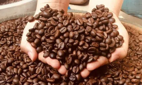 Cú bứt tốc kỳ lạ của cà phê Việt Nam tại một quốc gia giàu có ở Bắc Mỹ: Tăng trưởng 8.600% nửa đầu năm