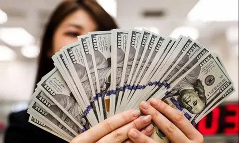 Tỷ giá hôm nay 18/7: USD và NDT điều chỉnh nhẹ tại các ngân hàng
