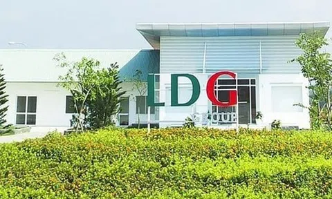 LDG tiếp tục giải trình việc cổ phiếu tăng trần 5 phiên liên tiếp