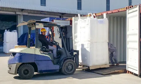 Ngành hàng Việt Nam xuất khẩu đứng thứ 3 thế giới: Tăng vọt 68%, giữ chắc ngôi đầu tại thị trường Trung Quốc