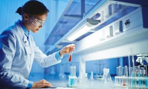 Một thị trường đầy tiềm năng của Việt Nam được dự báo đạt 12,12 tỷ USD vào năm 2029