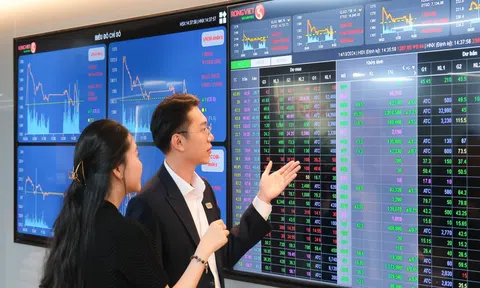 Rồng Việt công bố KQKD Quý 2/2025: Ổn định nền tảng, vững vàng tương lai