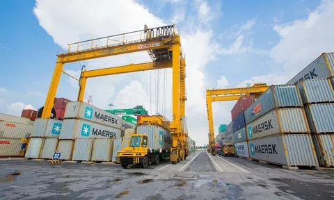 Một doanh nghiệp cảng biển chốt ngày trả cổ tức 30%, 'soi' lịch sử trả cổ tức 'đều như vắt tranh'