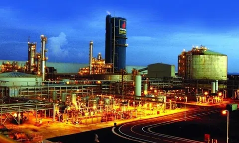 Đạm Phú Mỹ sắp phát hành hơn 288 triệu cổ phiếu thưởng, tỷ lệ 73,7%, nâng vốn điều lệ lên 6.800 tỷ đồng