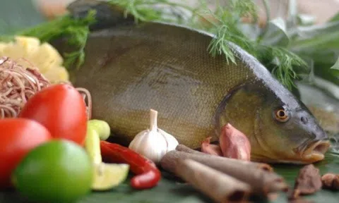 Loài cá mang tên một thứ gia vị quen thuộc, từng ít ai biết, nay thành đặc sản được săn lùng giá cao ngỡ ngàng