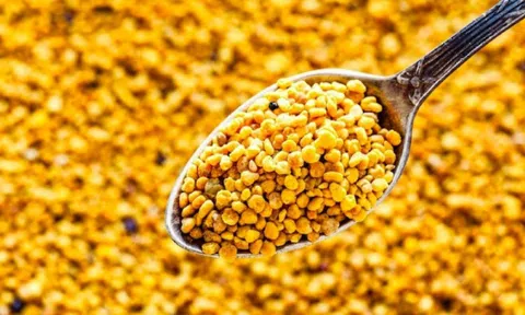 Một loại phấn hoa chỉ thu vài ngày trong năm, có giá hơn 1 triệu đồng/kg