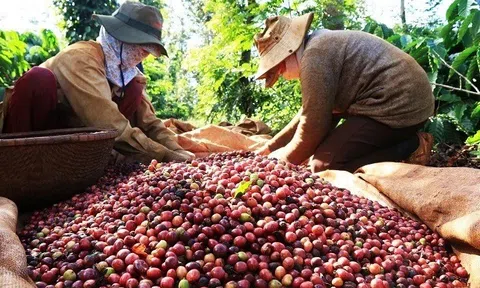 Hai ngành hàng xuất khẩu tỷ USD 'cầu cứu' Thủ tướng
