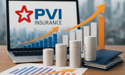PVI lãi ròng quý II/2025 tăng 52%, danh mục tài chính vẫn tập trung vào tiền gửi và trái phiếu