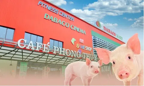 Vaccine bảo hộ hiệu quả giữa bão dịch tả lợn, Dabaco (DBC) báo lãi quý 2 tăng trưởng 250%