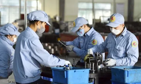 Từ 1/1/2026: Thao tác bắt buộc đối với hàng triệu người lao động, biết và làm đúng để đảm bảo quyền lợi