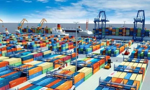 Cổ phiếu tăng gấp rưỡi sau 2 tuần, Viconship hé lộ danh mục đầu tư chứng khoán trị giá hơn 1.400 tỷ