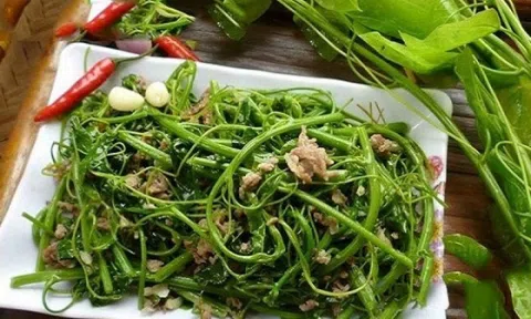 Loại rau 'quê mùa' ngày nào nay thành đặc sản đắt khách, ai ăn cũng nhớ: Giá tới 90.000 đồng/kg, vào thực đơn nhà hàng