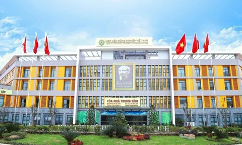 Ngành học gắn liền với ngành hàng hàng chục tỷ đô, điểm chuẩn từ 16 điểm: Tốt nghiệp doanh nghiệp săn đón, lương tới 200 triệu/tháng